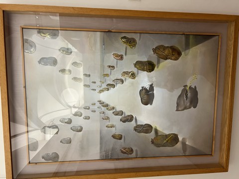 Costa Brava foto